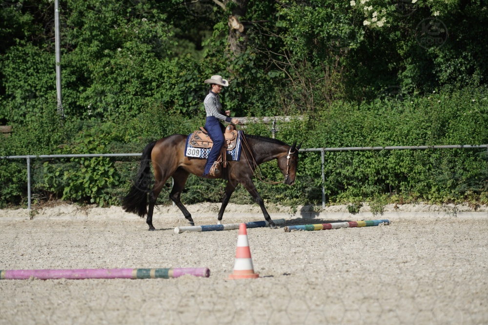 s_APF06712.jpg